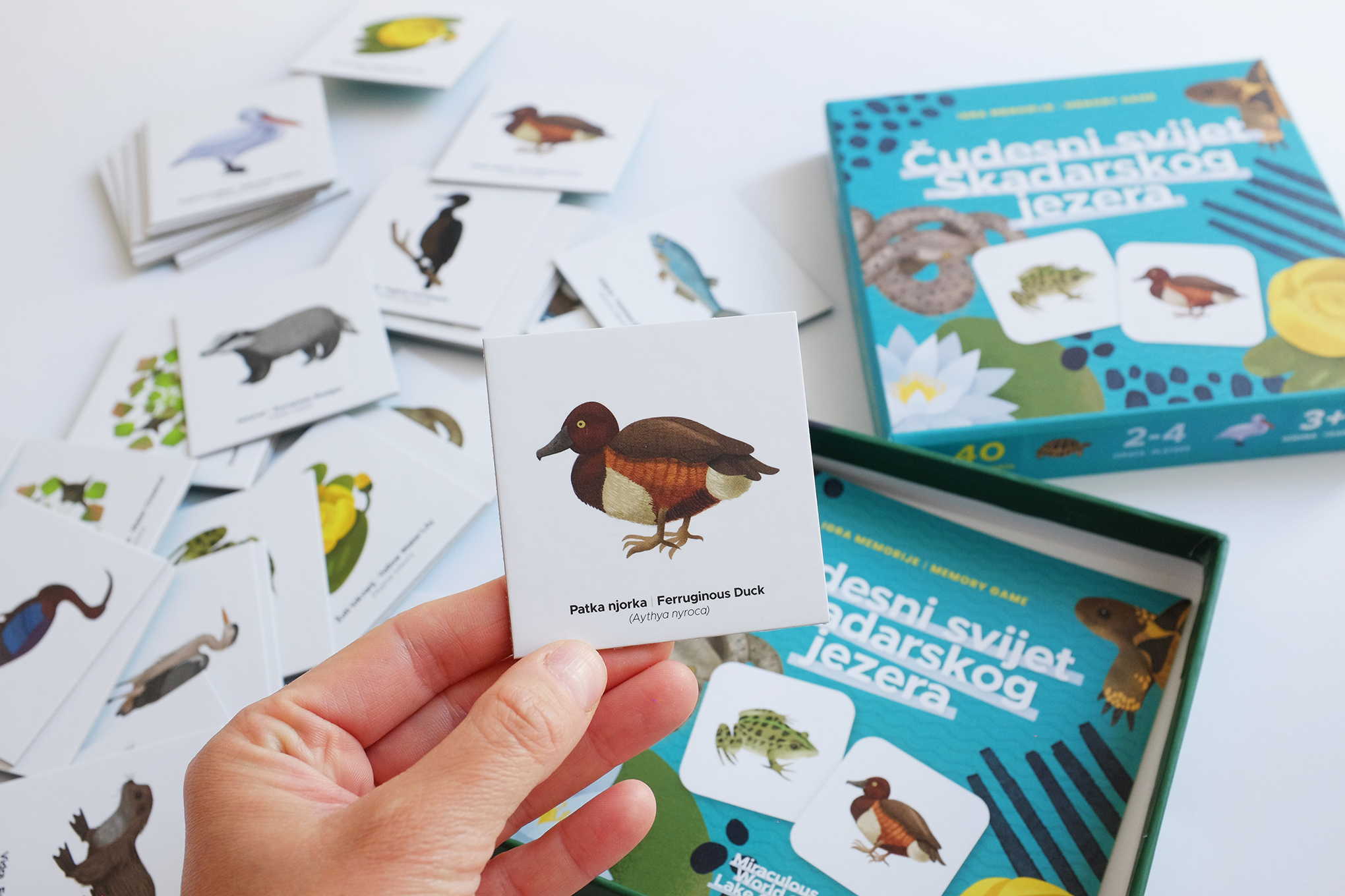 Igra memorije Cudesni svijet Skadarskog jezera_WebRes 1