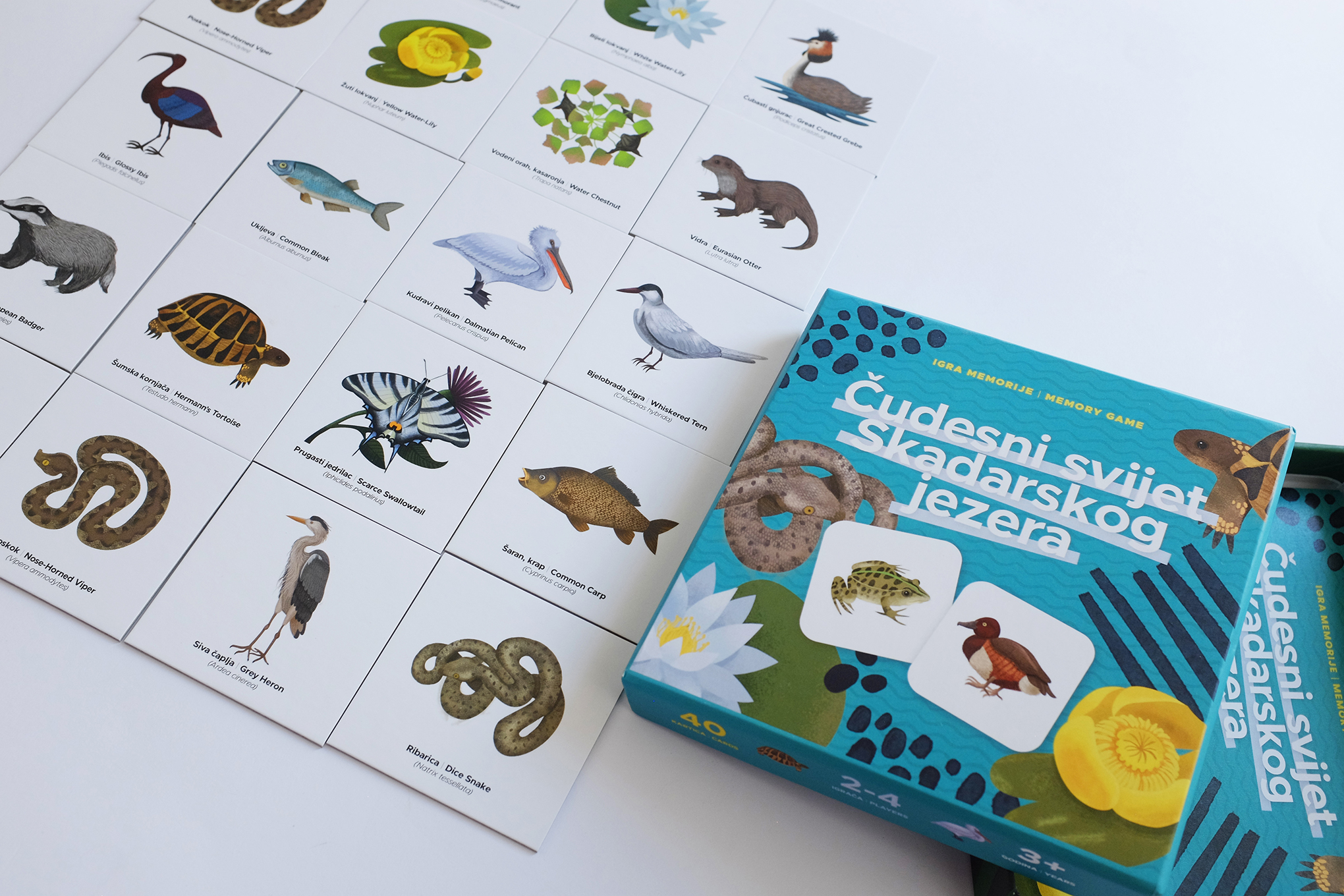 Igra memorije Cudesni svijet Skadarskog jezera_WebRes 3