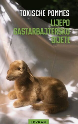 Promocija knjige „Lijepo gastarbajtersko dijete” u KIC-u