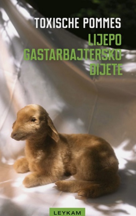 Promocija knjige „Lijepo gastarbajtersko dijete” u KIC-u