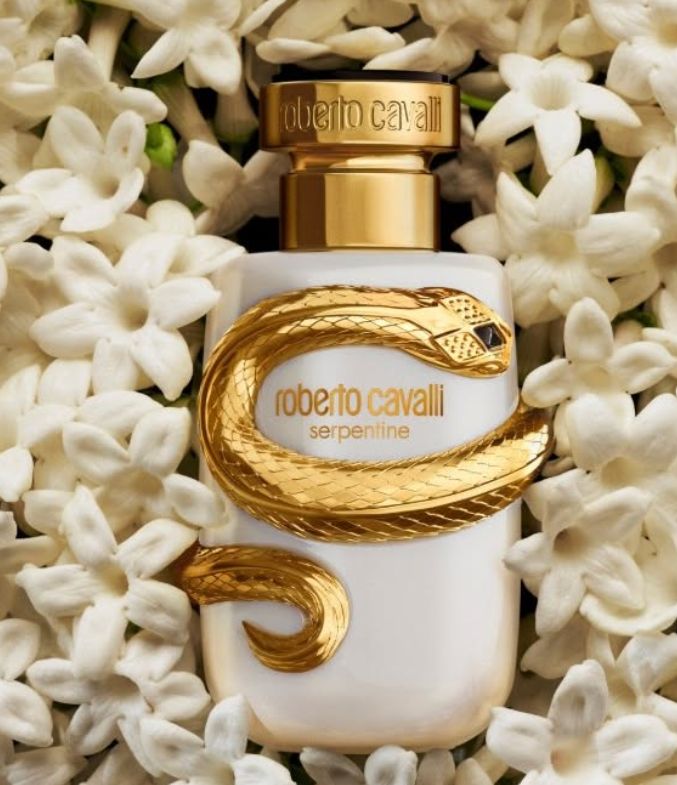 Screenshot 2025-12-15 115407