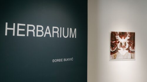 Herbarium Đorđa Bukvića